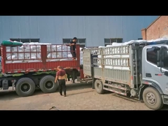 पीवीसी पाइपों के लिए क्लोरीकृत पॉलीएथिलीन सीपीई 135 ए पीवीसी प्रभाव संशोधक सफेद पाउडर